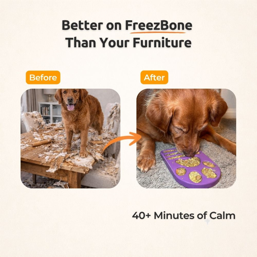FreezPaw Mat - Calming Slow Feeder