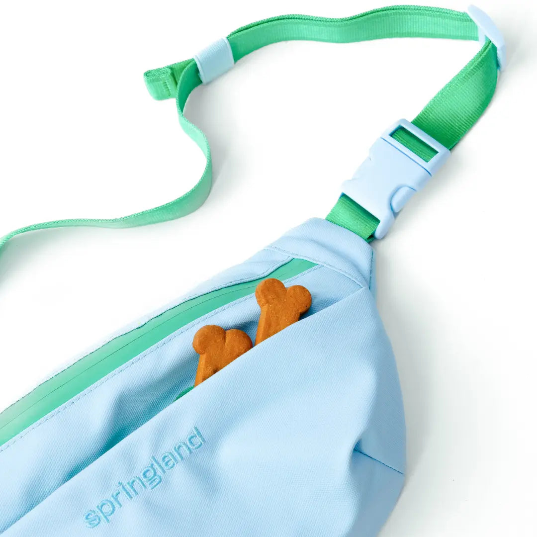 Hands-Free Dog Walking Bag Springland Pets