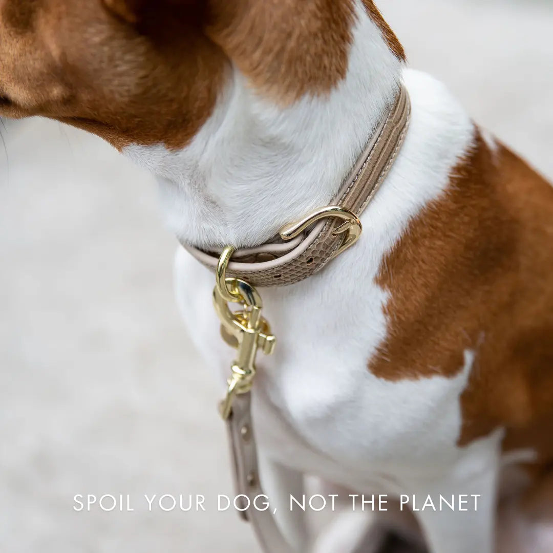 Leash 4ft - Vegan Leather - Milan Nina Woof