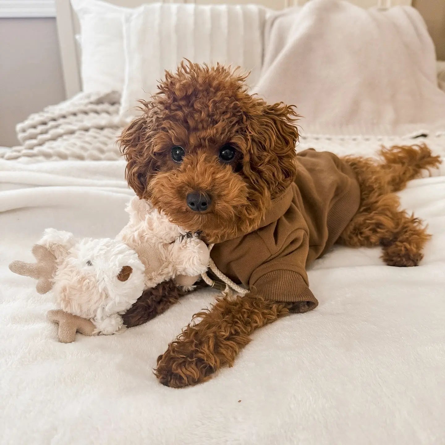 Fur Elise Vixi Plush Toy - Mini