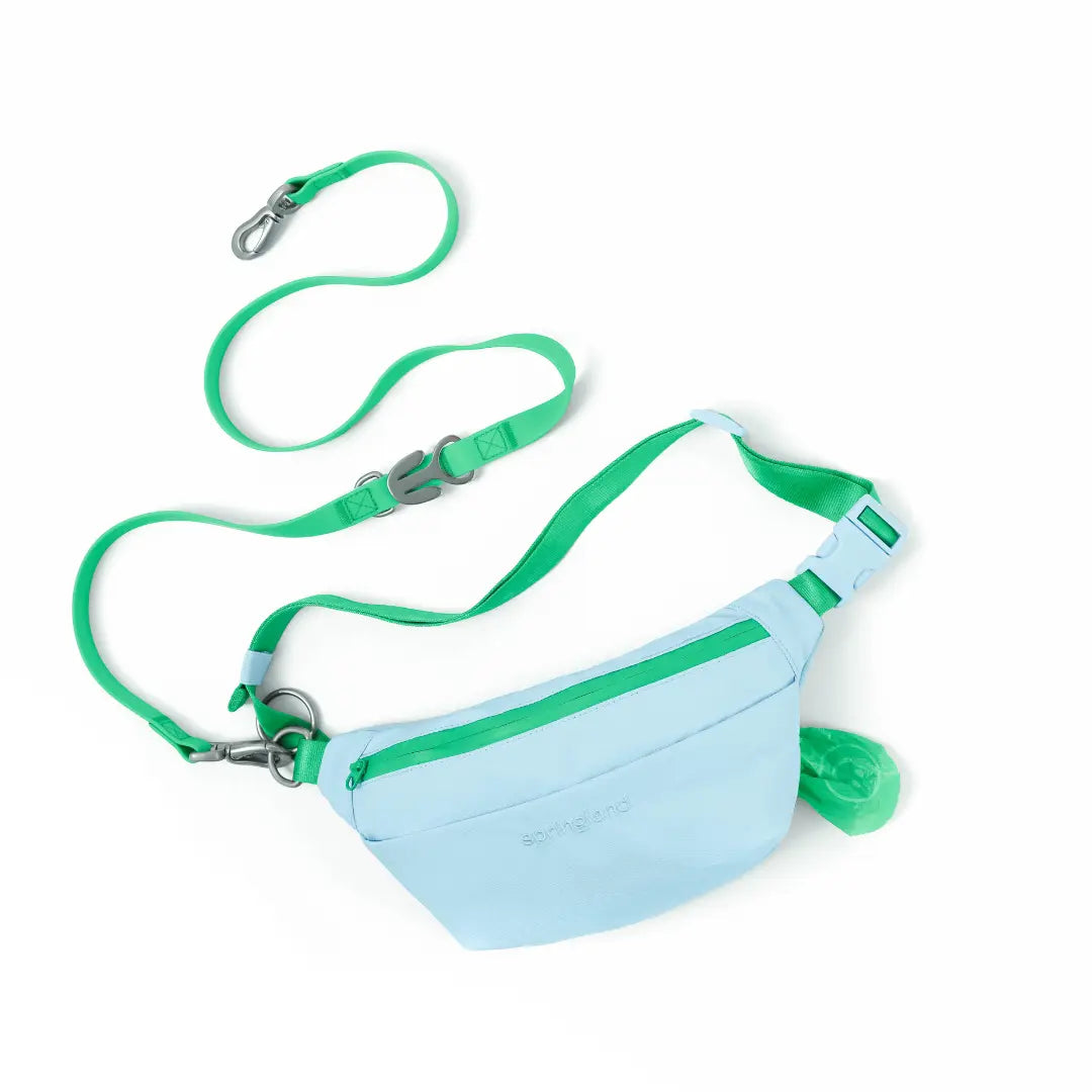 Hands-Free Dog Walking Bag with 4ft Leash Springland Pets