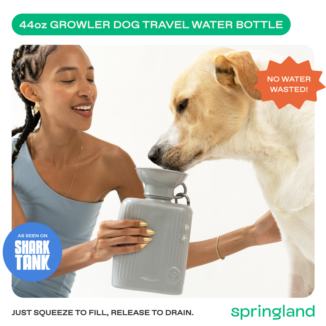 44oz Original Travel Dog Water Bottle