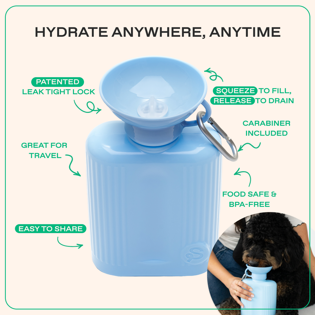 44oz Original Travel Dog Water Bottle