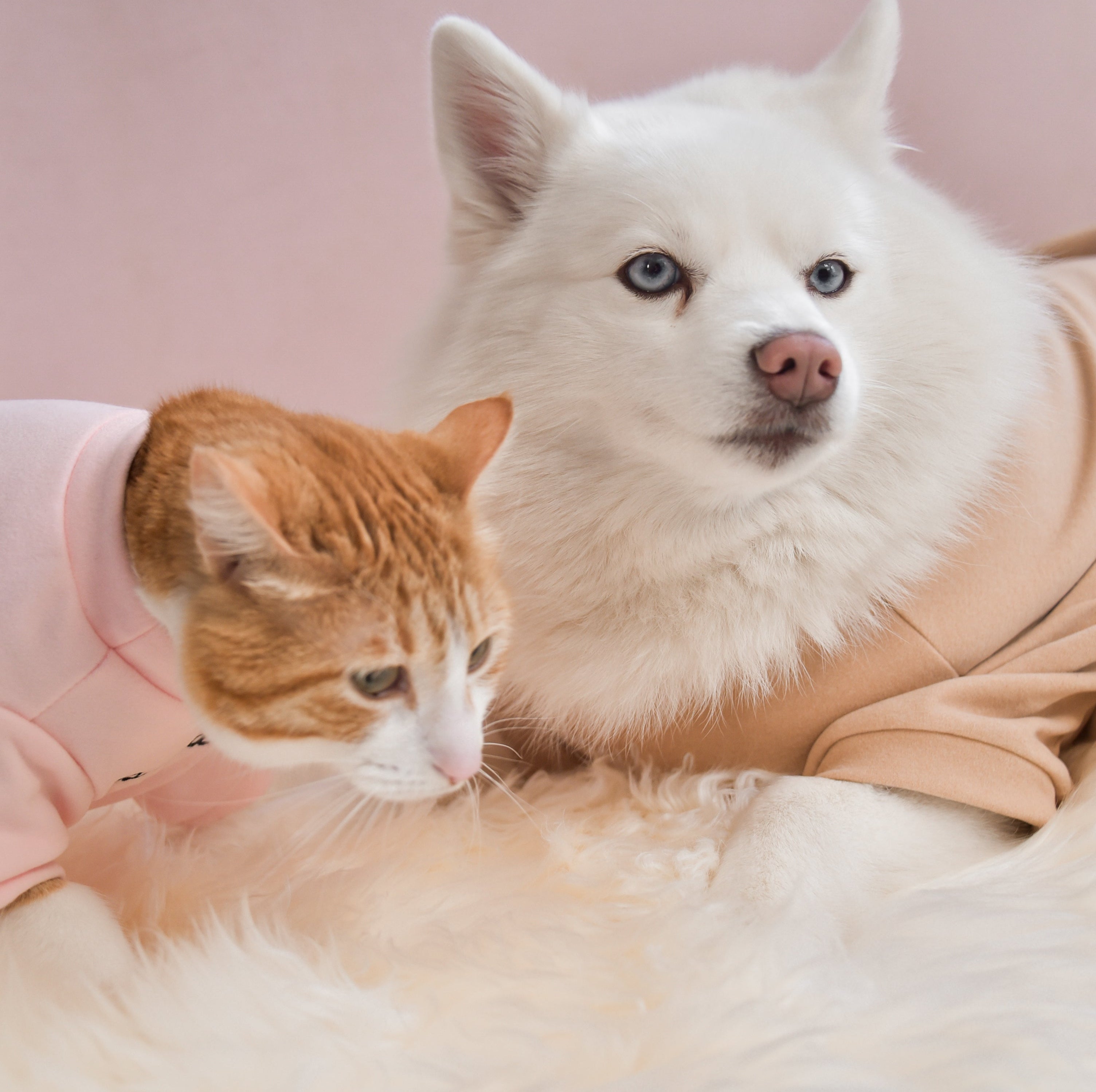 Fur Elise Spoiled Mock Neck Shirt - Latte