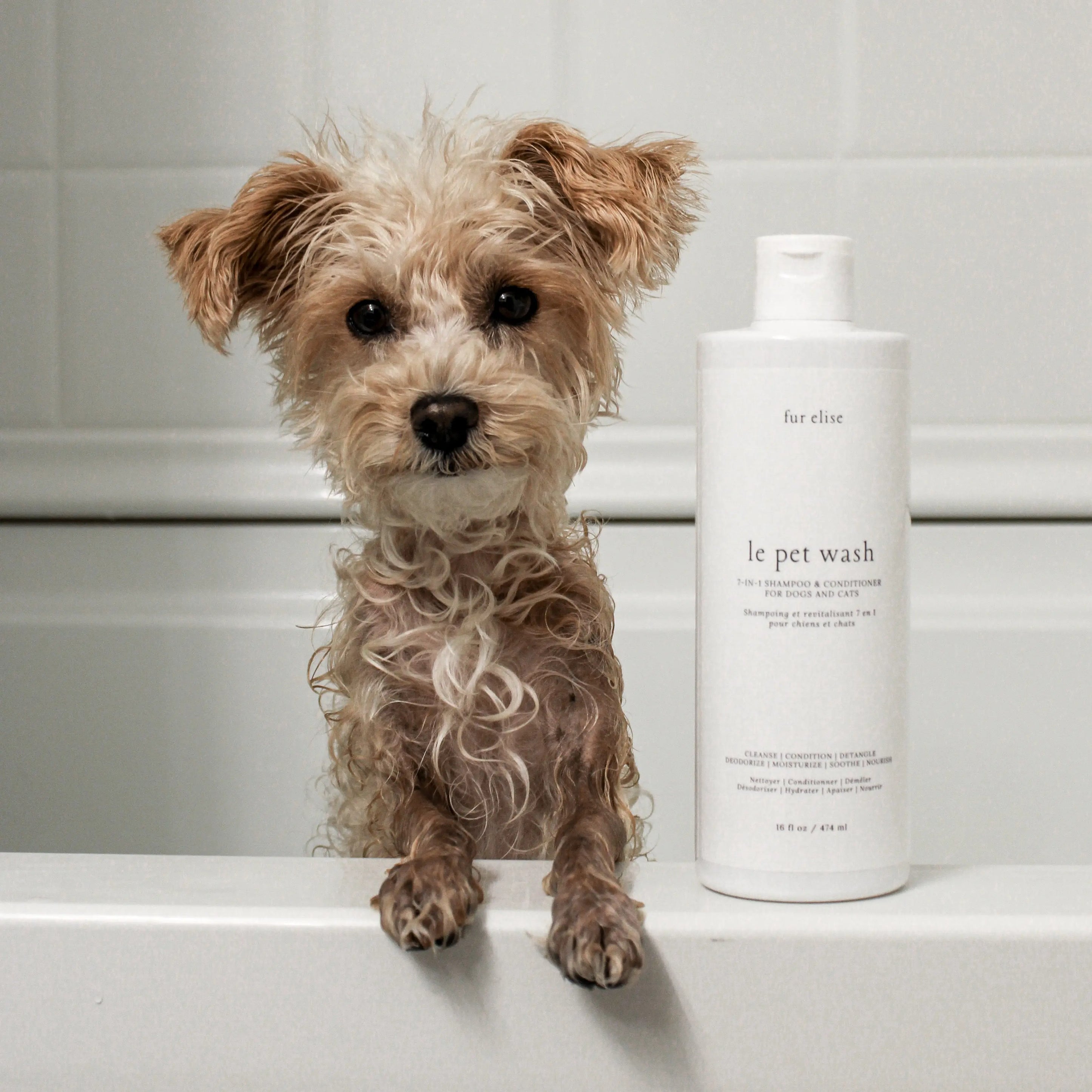 Le Pet Wash Elise Galleria
