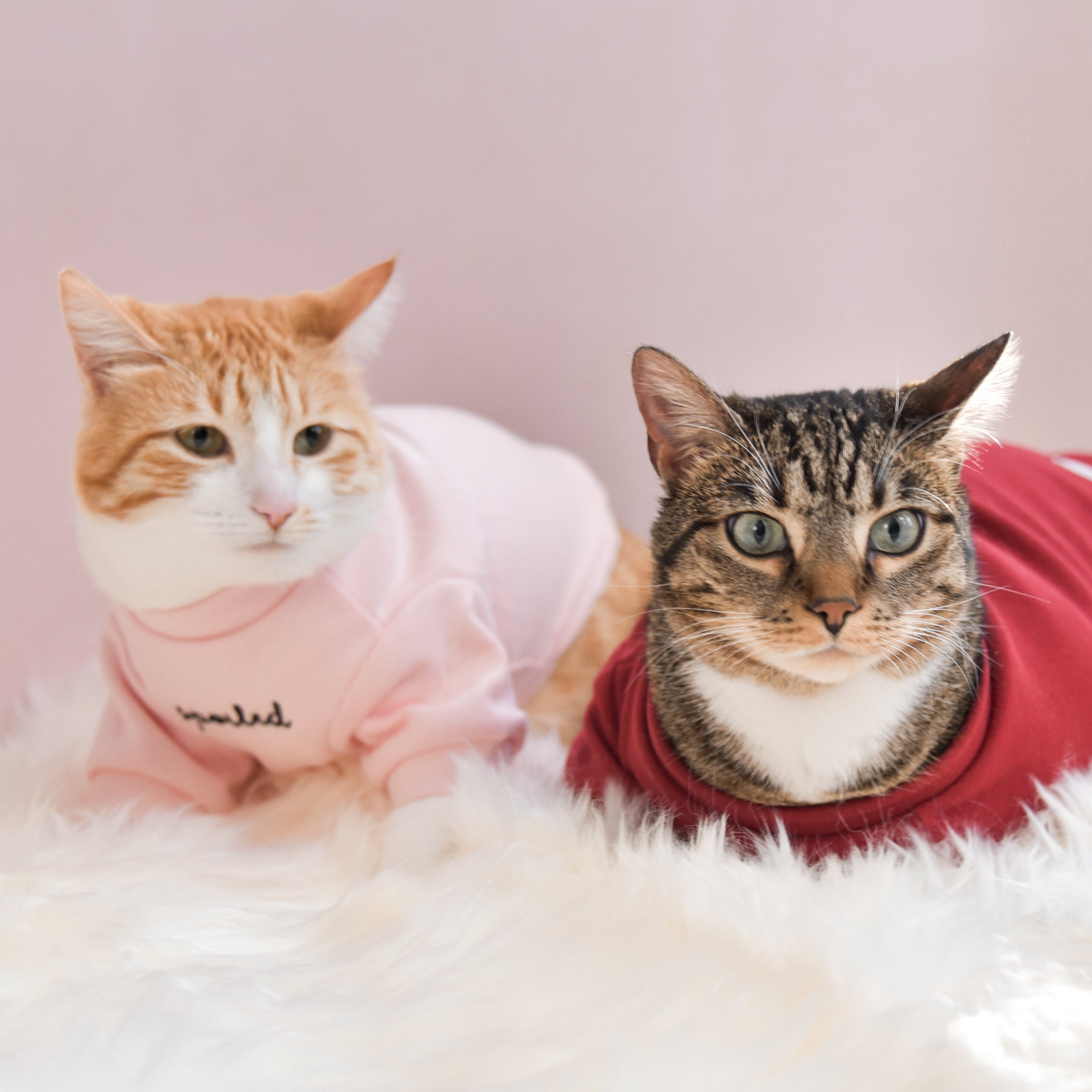 Fur Elise Spoiled Mock Neck Shirt - Blush