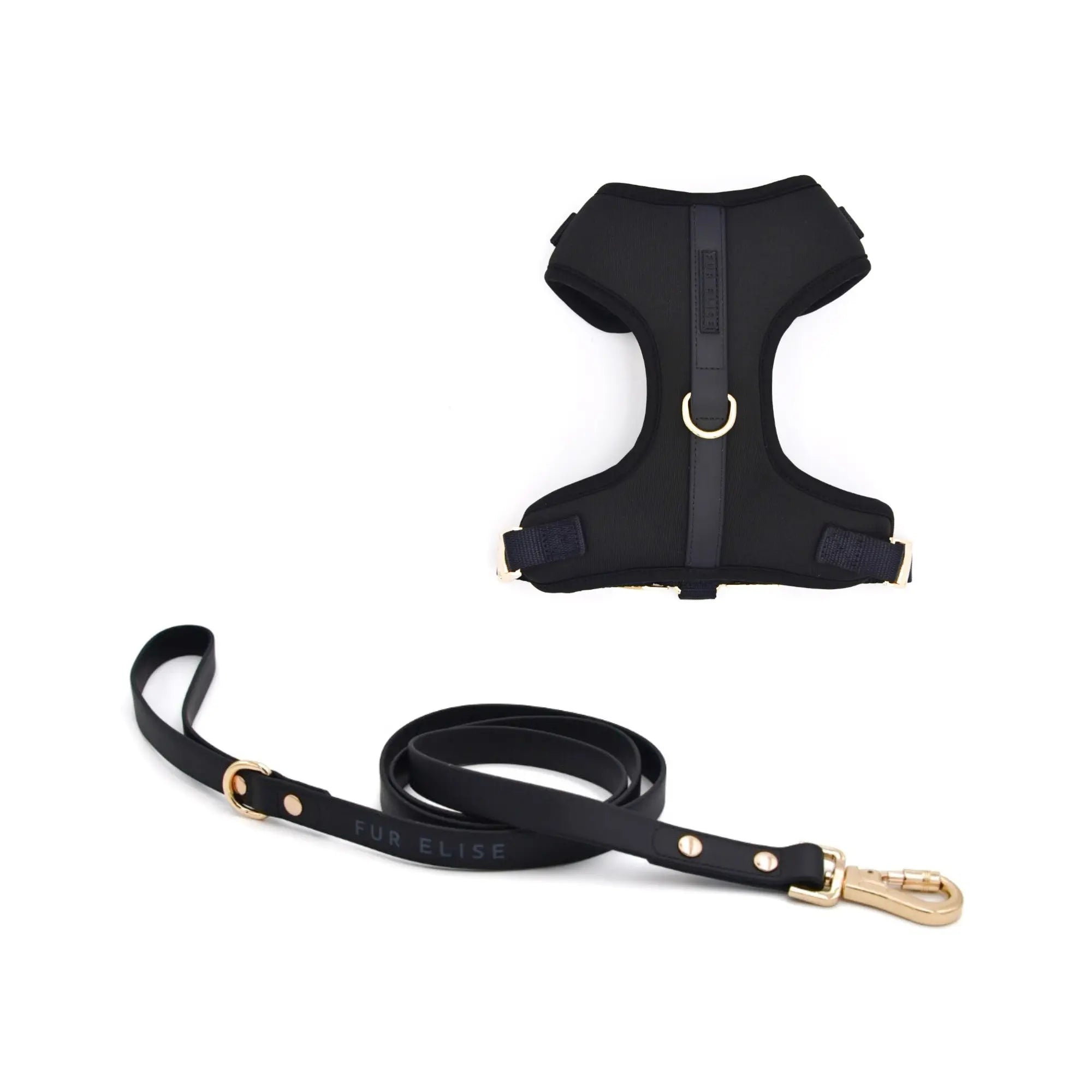 Elise Harness & Leash Set - Noir - K9 Outdoors