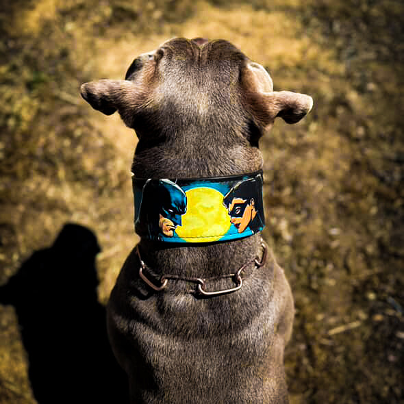 Bestia BCW Leather Dog Collar – Limited Edition