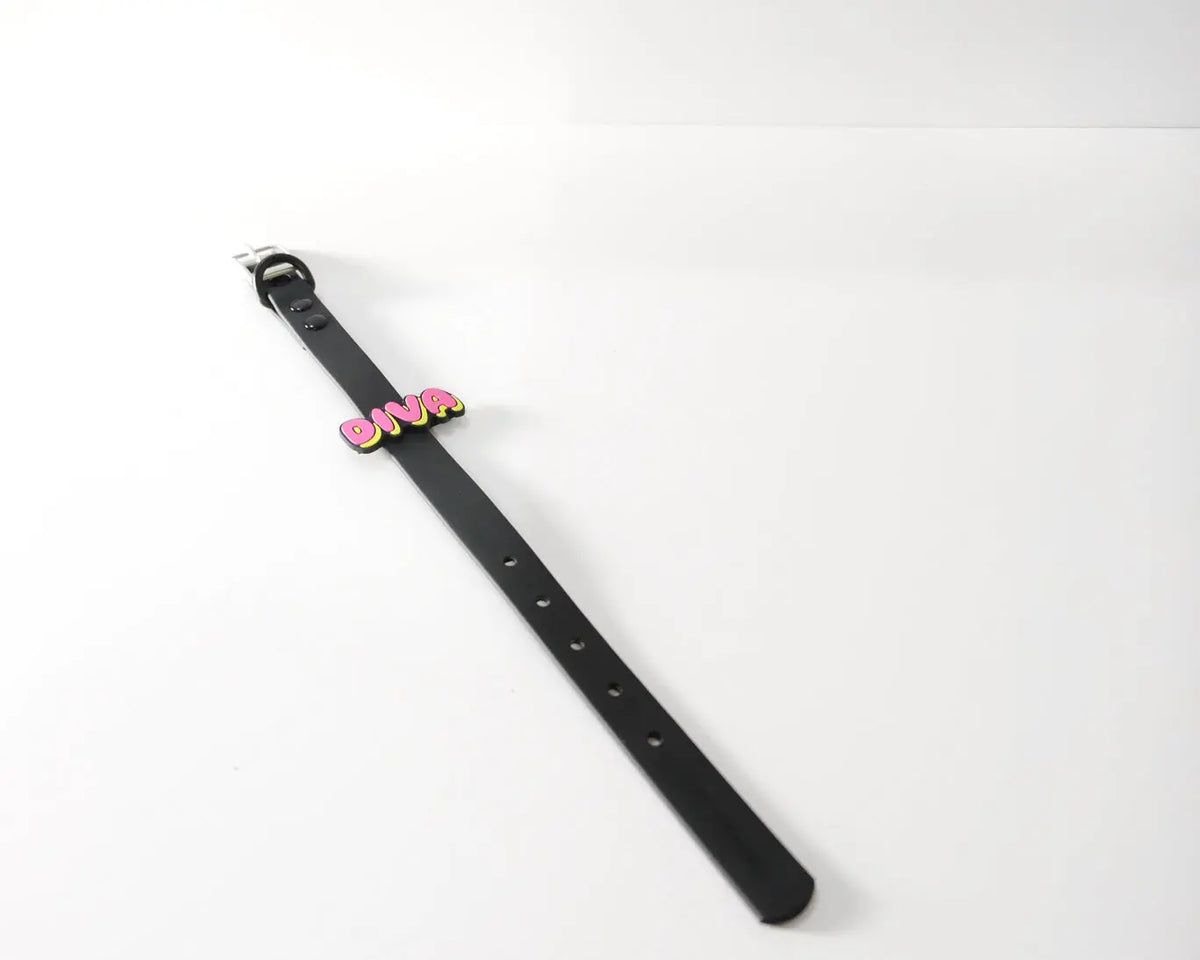 Collar & Leash Tabs