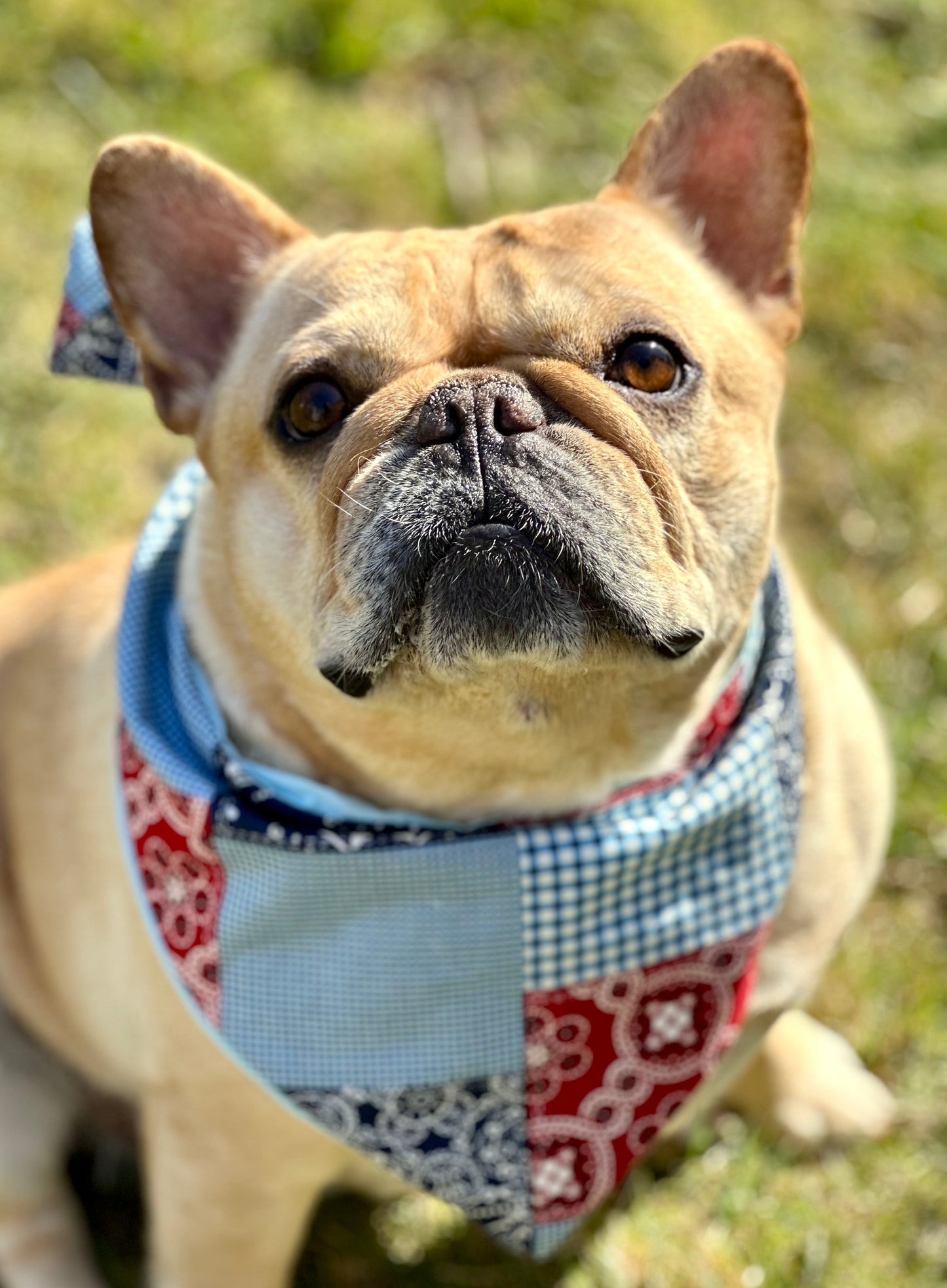 Patchwork Dog Bandana Happy Tails Outfitters