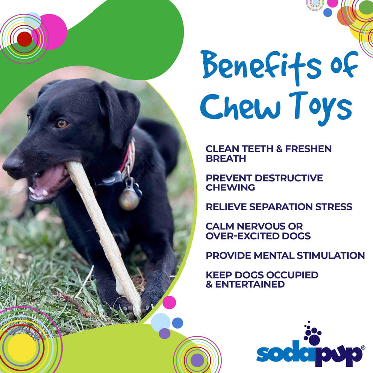 Durable Nylon Chew Stick for Power Chewers | Durable Dog Toy USA