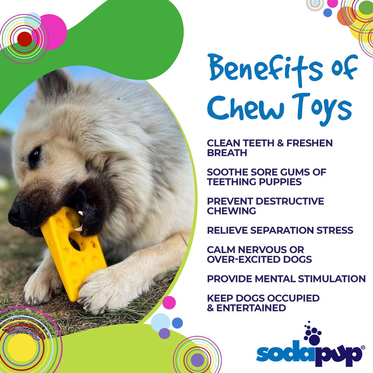 Swiss Cheese Wedge Nylon Dog Chew Toy for Aggressive Chewers | SodaPup