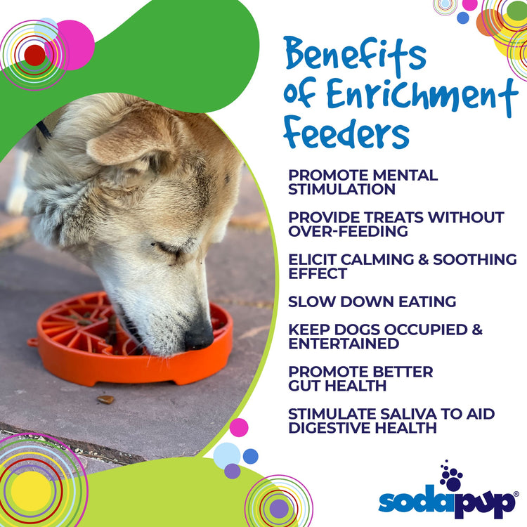 Sun and Moon eTray - Shallow Slow Feeder Dog Bowl for Enrichment | USA Made