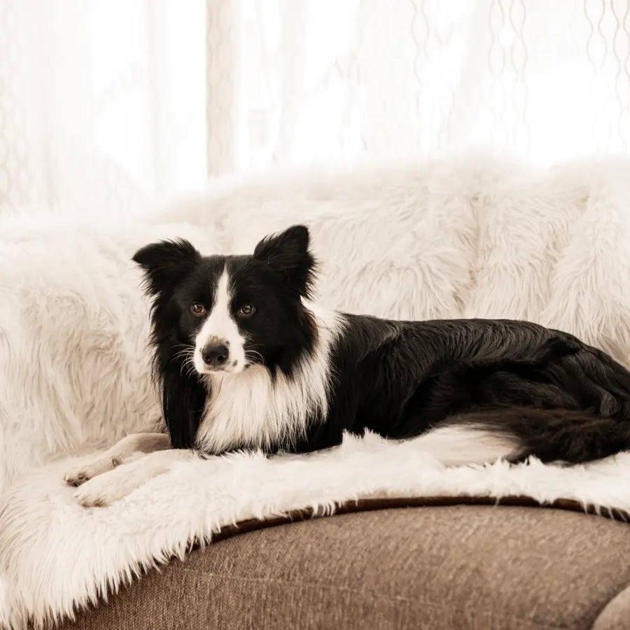 PupProtector™ Waterproof Throw Blanket - Polar White Paw.com