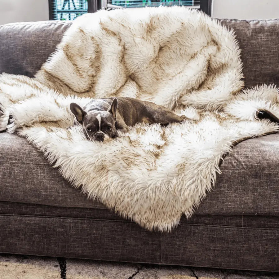 PupProtector™ Waterproof Throw Blanket - White with Brown Accents Paw.com