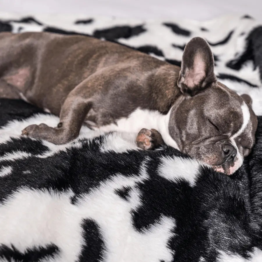 PupProtector™ Waterproof Throw Blanket - Black Faux Cowhide Paw.com