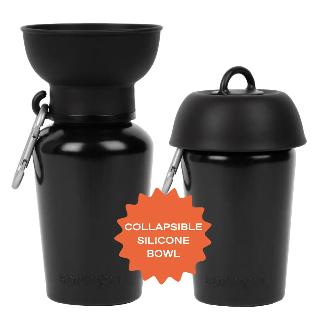 20oz Flip Dog Travel Water Bottle Springland Pets