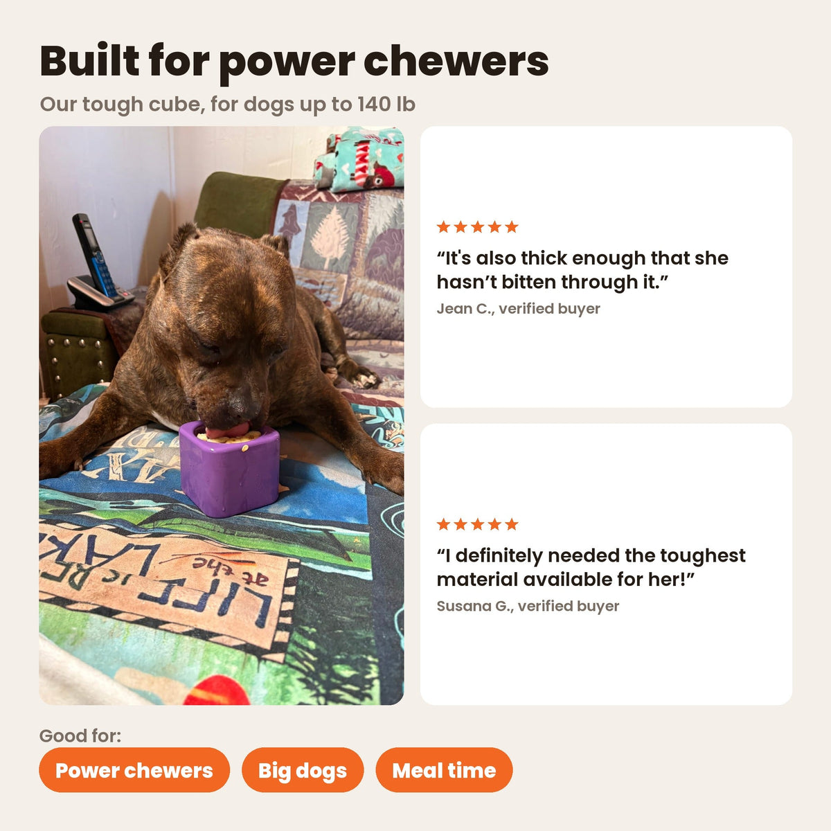 Freezbox - Super Tough Treat Toy