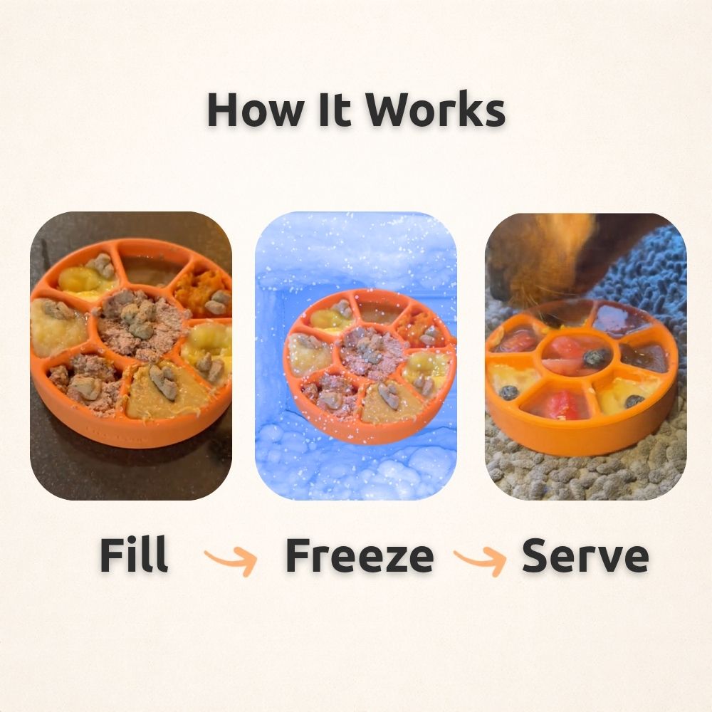 FreezWheel - Durable Interactive Chew