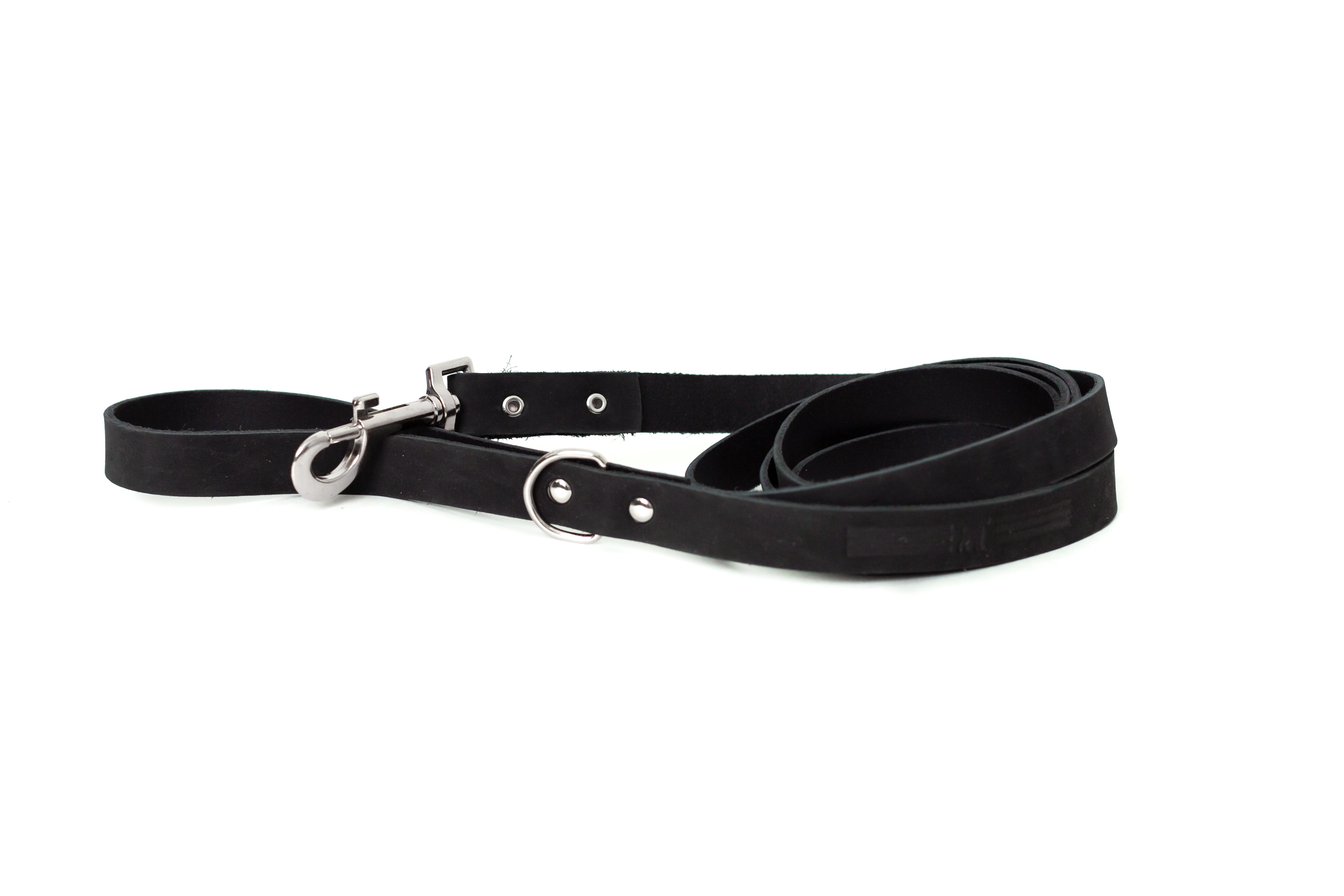Modern Style Leather Dog Leash