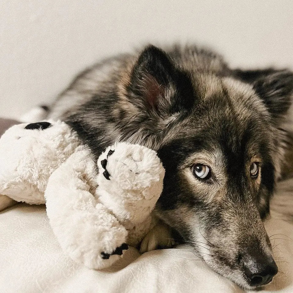 Fur Elise Koko Plush Toy - Maxi