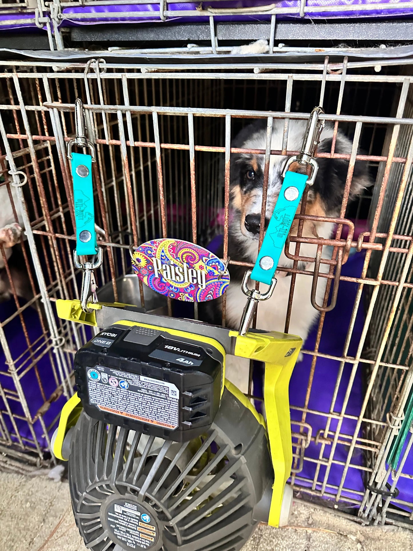 Fan Straps (double clip) Ulti-Mutt Toys