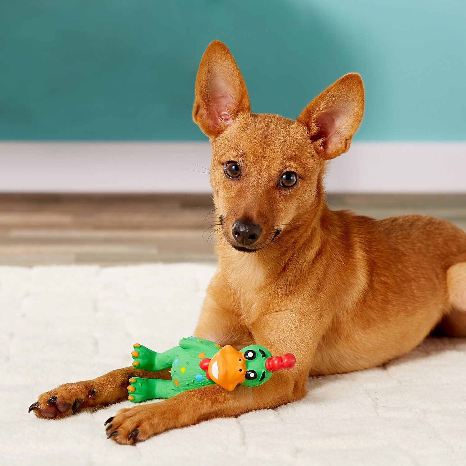 Multipet Globkens Chicken Dog Toy Assorted Mini 5.6in