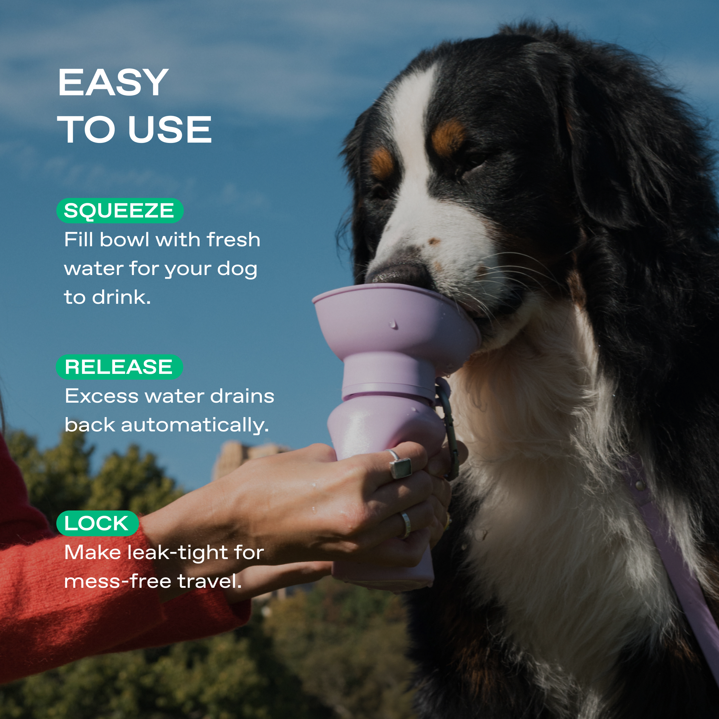 20oz Flip Travel Dog Water Bottle