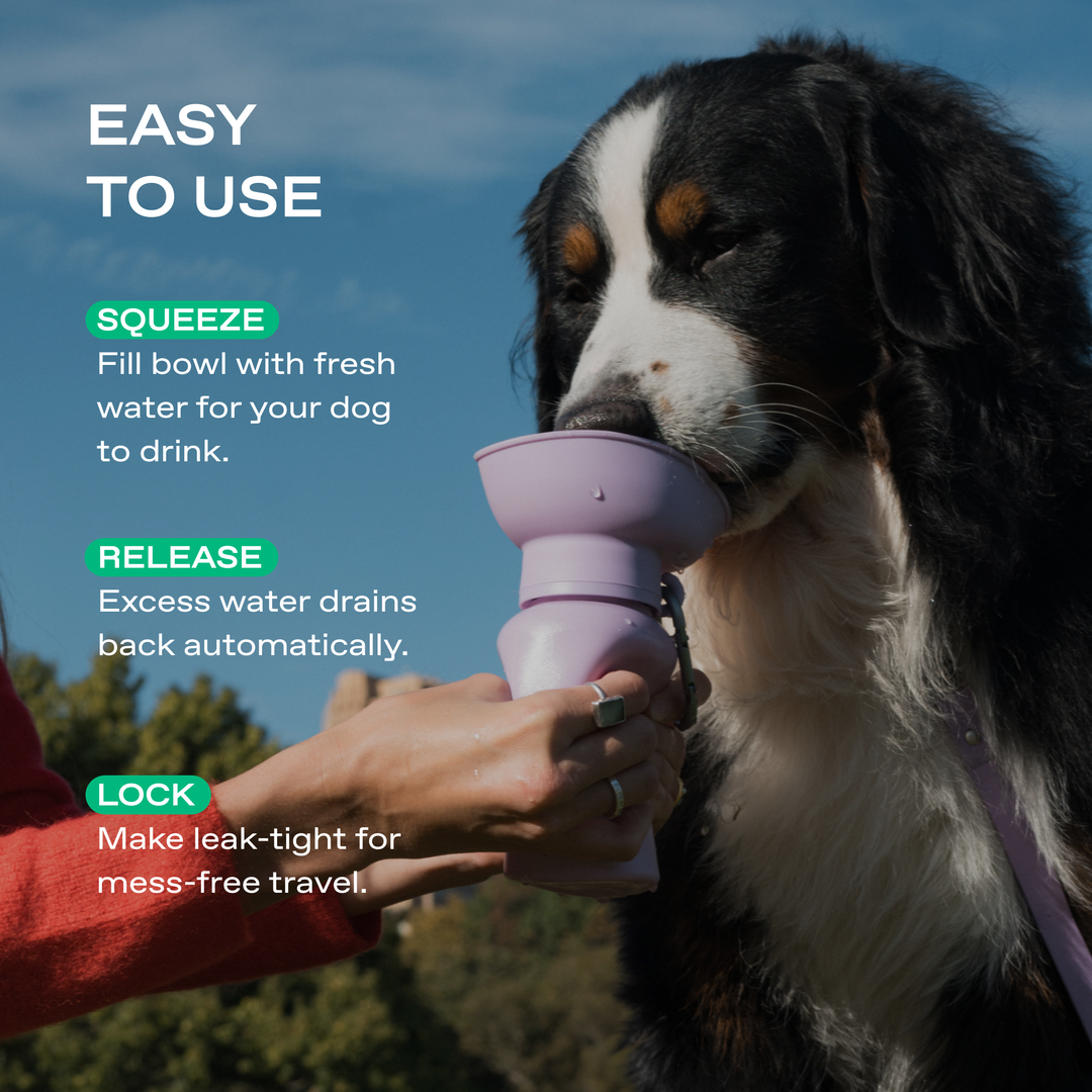20oz Flip Travel Dog Water Bottle