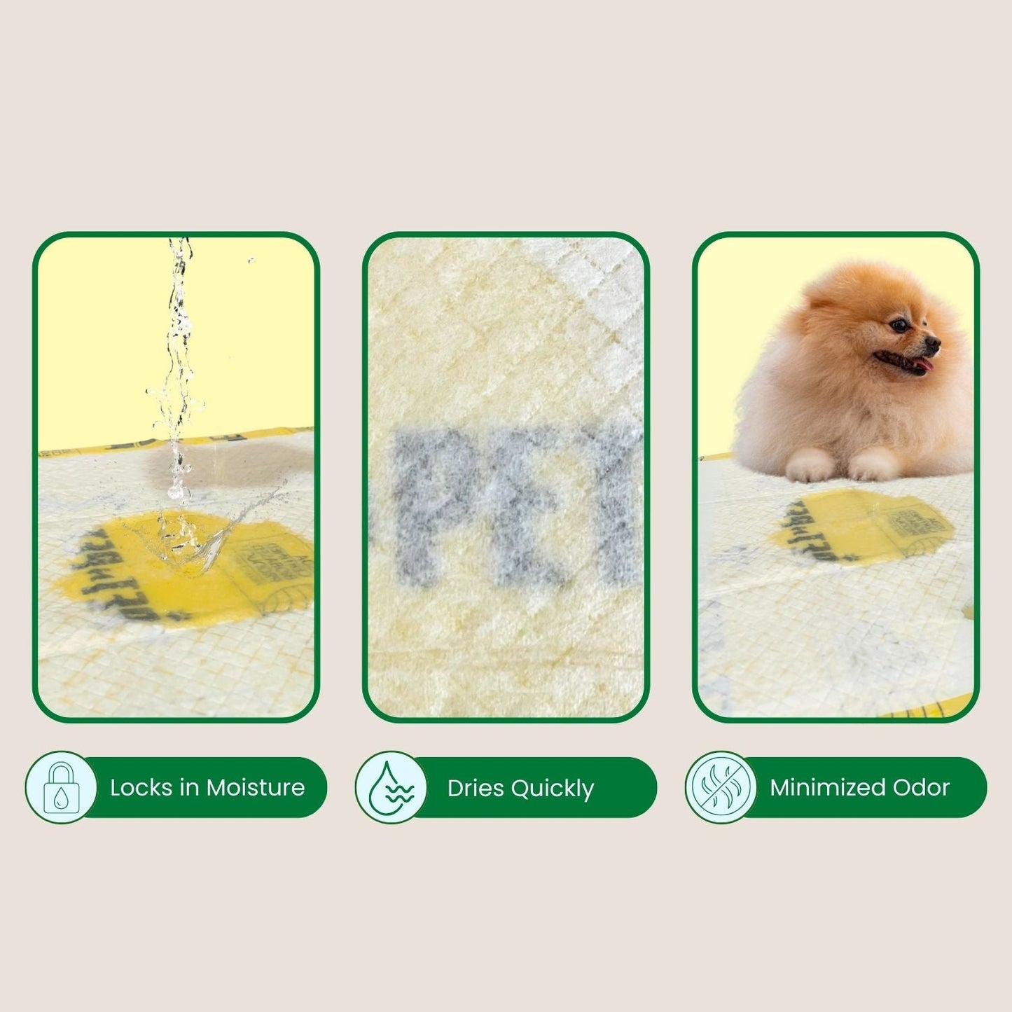 Pee Pads for Dogs Pet N Pet ®