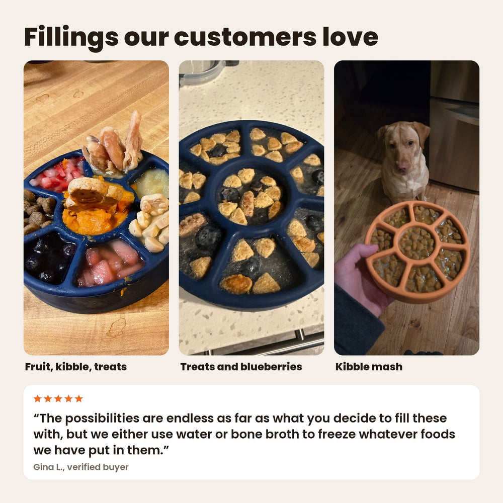 FreezWheel - Durable Interactive Chew