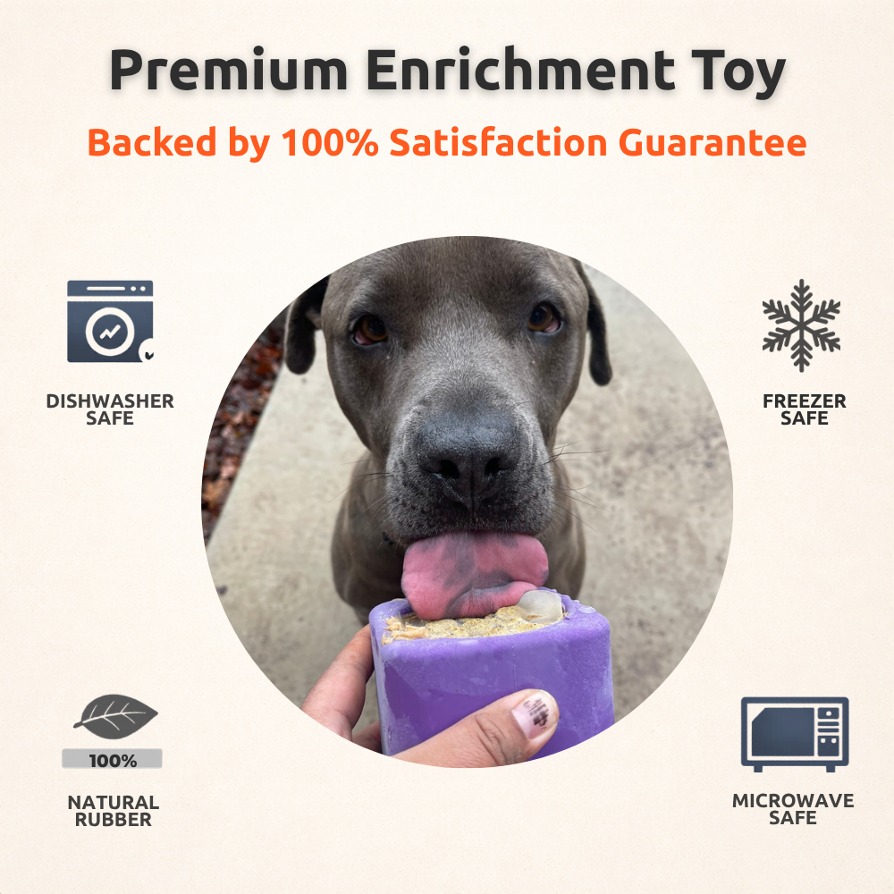 Freezbox - Super Tough Treat Toy