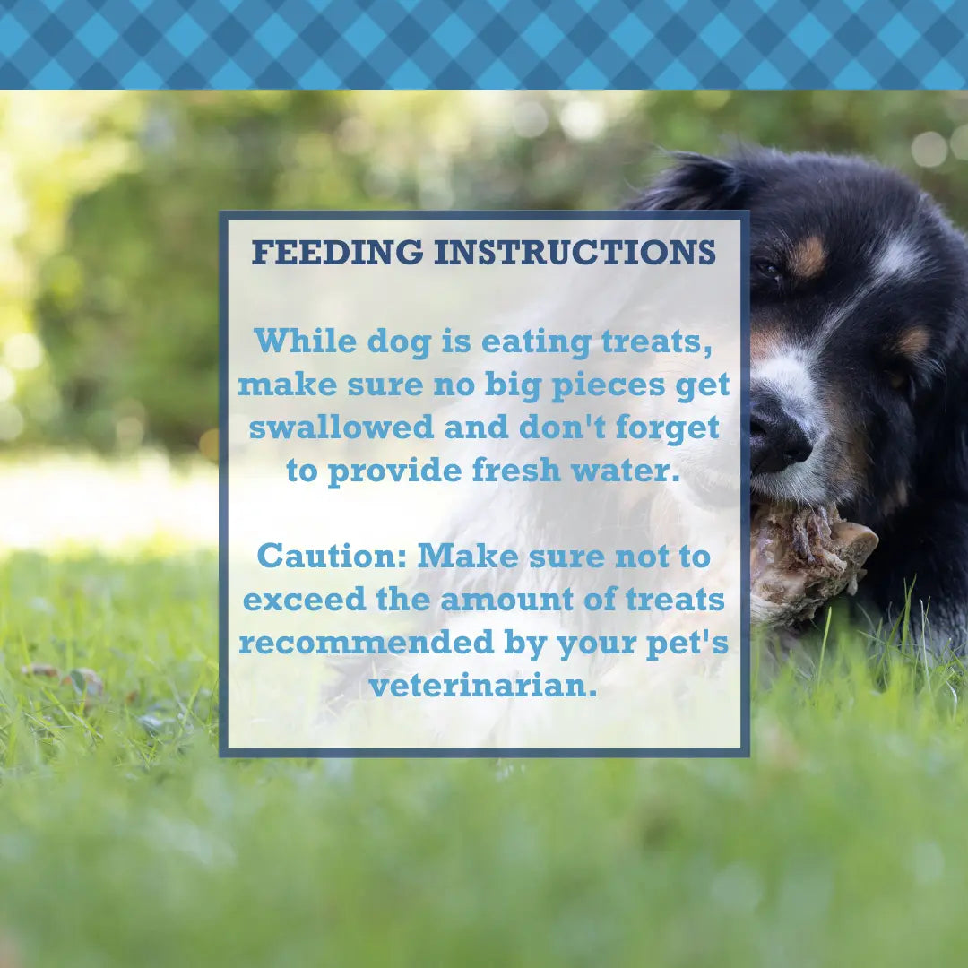 Country Living All-Natural Beef Trachea Dog Treats, Protein-Packed Chews – 12 Inches (5-Pack) American Pet Supplies