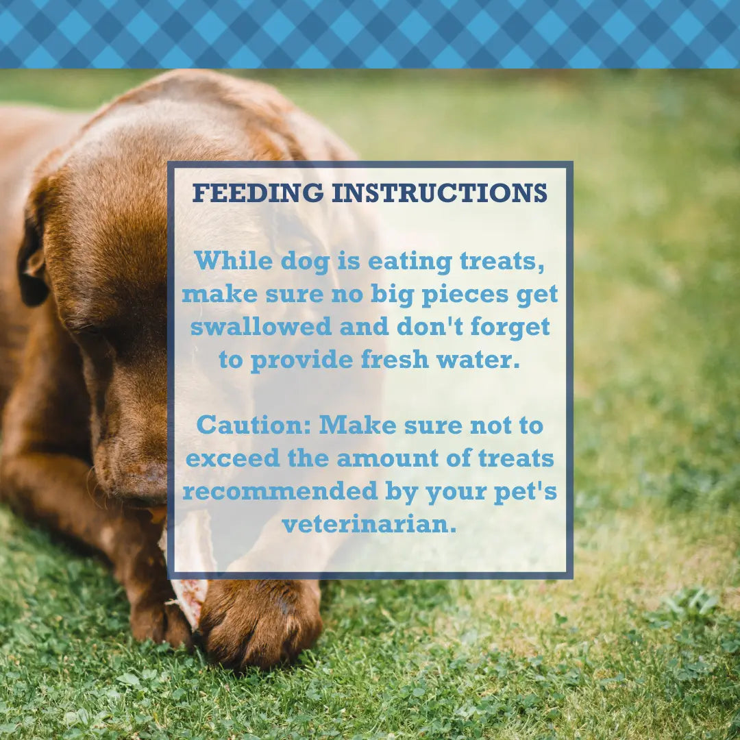 All-Natural Beef Y Tendon Dog Treats – High-Protein, Low-Fat Chews – Jumbo (10-Pack) American Pet Supplies