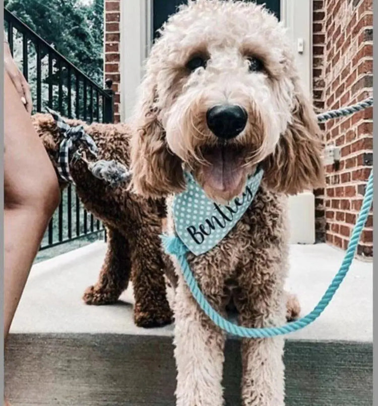 Dog Rope Leash - Mint Green
