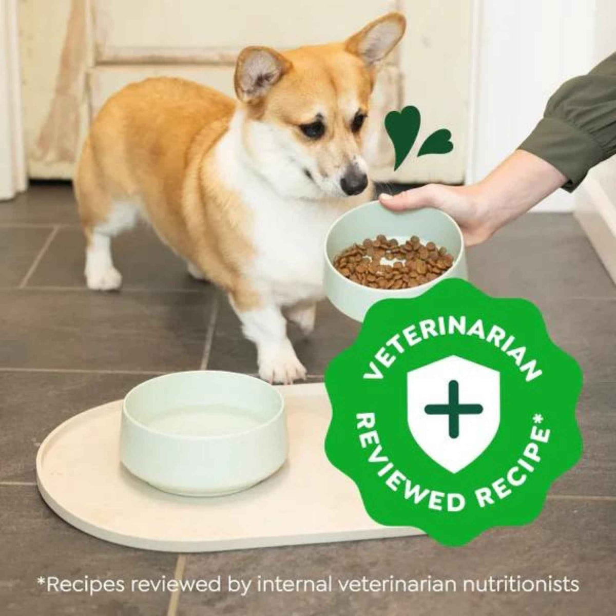 Greenies Smart Essentials Small Breed Dry Dog Food Chicken Rice, 1ea/27 lb