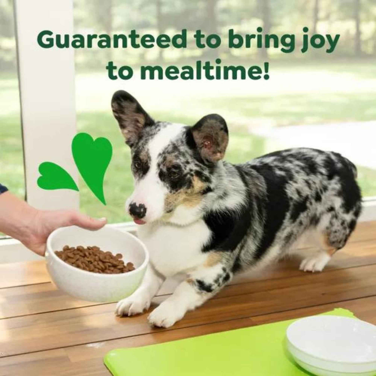 Greenies Smart Essentials Small Breed Dry Dog Food Chicken Rice, 1ea/27 lb