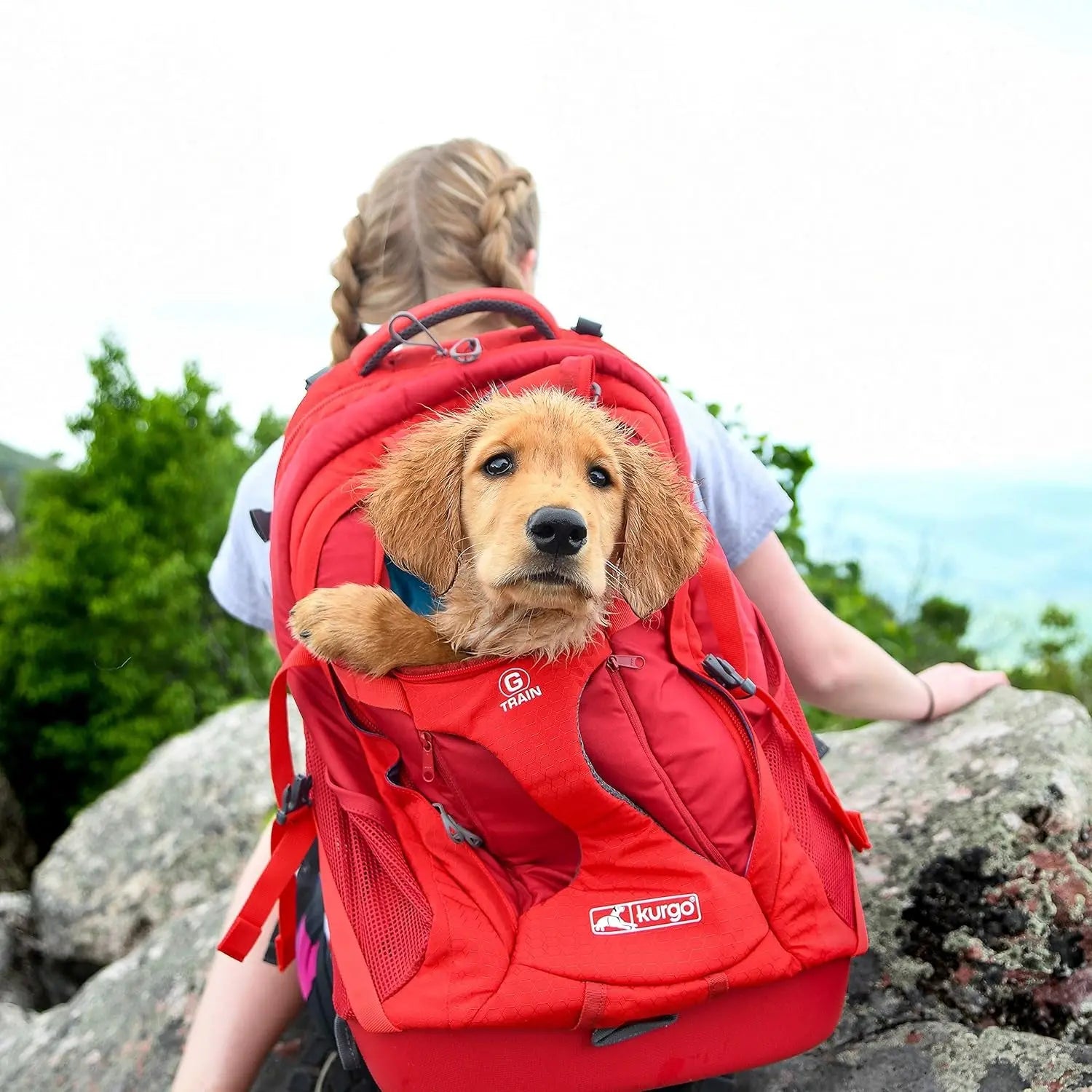 G-Train Dog Carrier Backpack - Comfortable Travel Bag - Waterproof Armorsole Base - Convertible Backpack to Carrier - Padded Laptop Compartment - Hands-Free Pet Travel Backpack