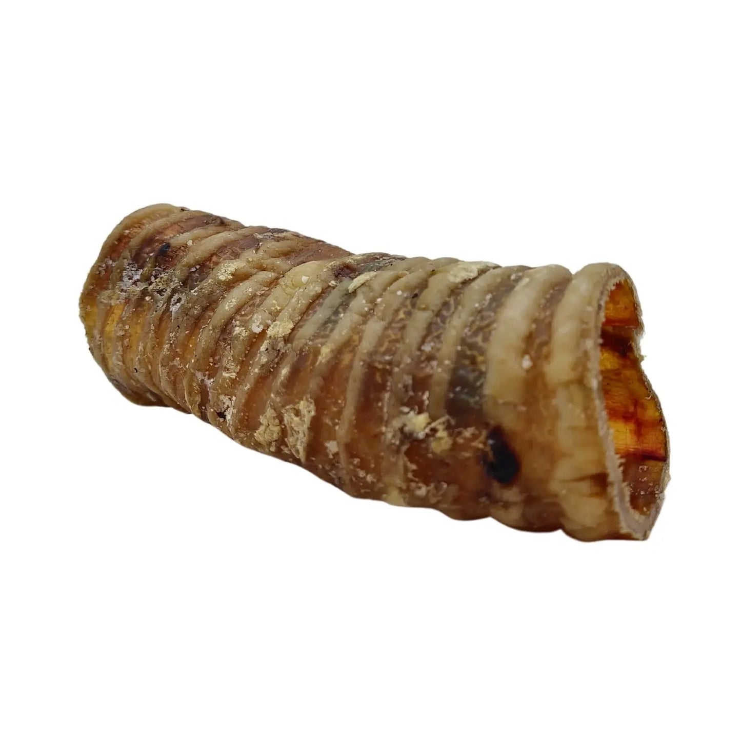 Country Living All-Natural Beef Trachea Dog Treats, Protein-Packed Chews – 6 Inches (5-Pack) American Pet Supplies