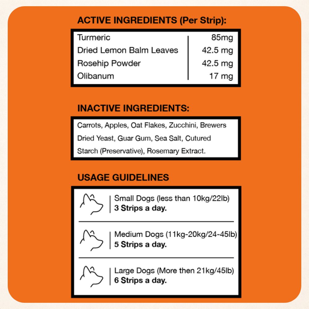 Freezbone Veggie Stick Bundle (4/pack: Carrot - Pumpkin - Apple mix)
