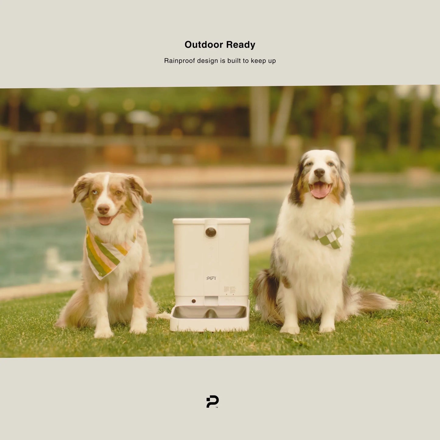 All-in-One Smart Pet Feeder PiFi
