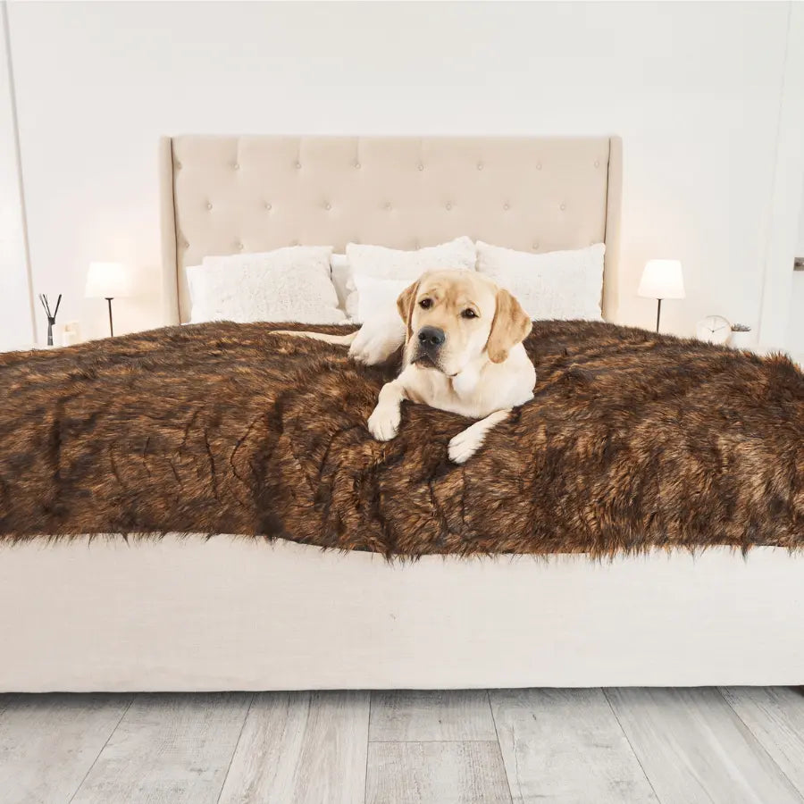 PupProtector™ Waterproof Throw Blanket - Brown Paw.com