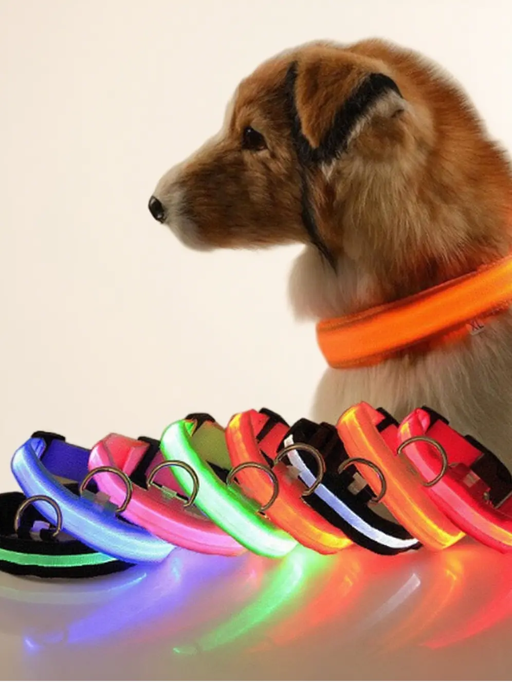 Milou & Lumi LED Glowing Pet Collar - Rainbow - K9 Outdoors
