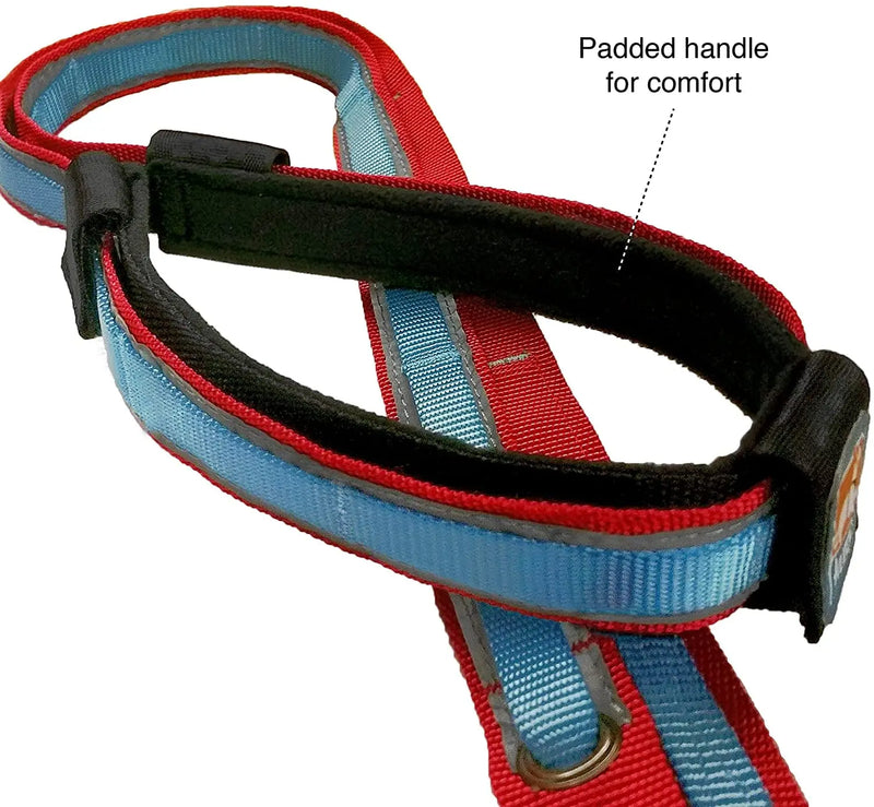 6 in 1 Hands Free Dog Leash | Reflective Running Belt Leash for Dogs | Crossbody & Waist Belt Leash | Carabiner Clip | Padded Handle for Training, Hiking or Jogging | Quantum Leash | 6 Colors