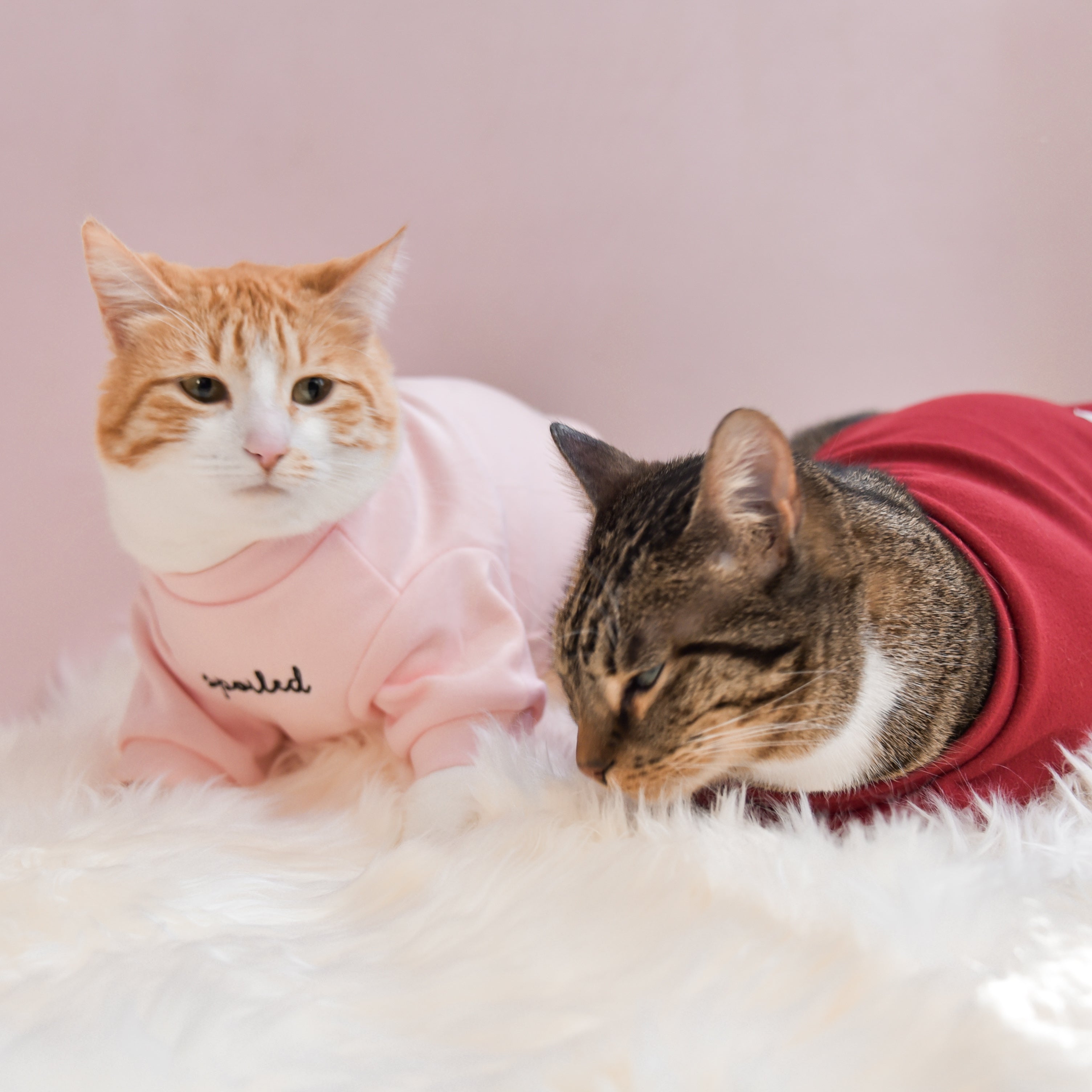 Fur Elise Spoiled Mock Neck Shirt - Lucky
