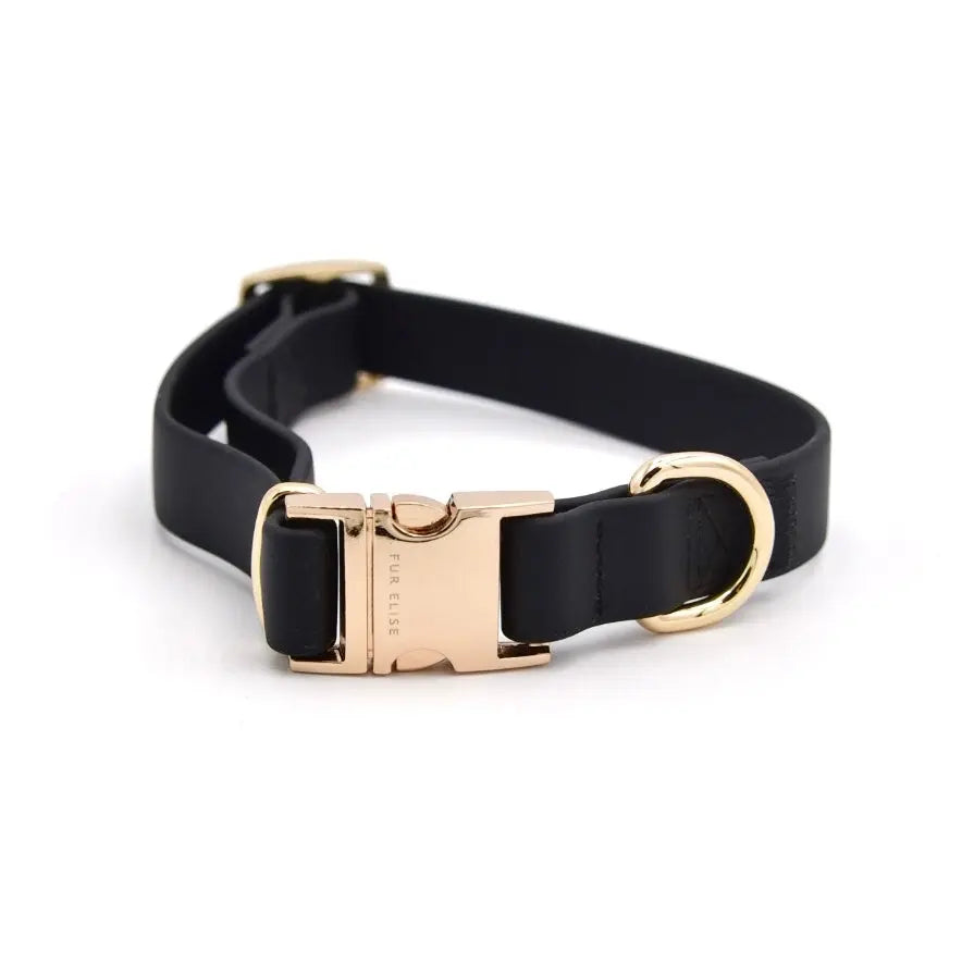 The Essentials Walk Set - Noir - K9 Outdoors
