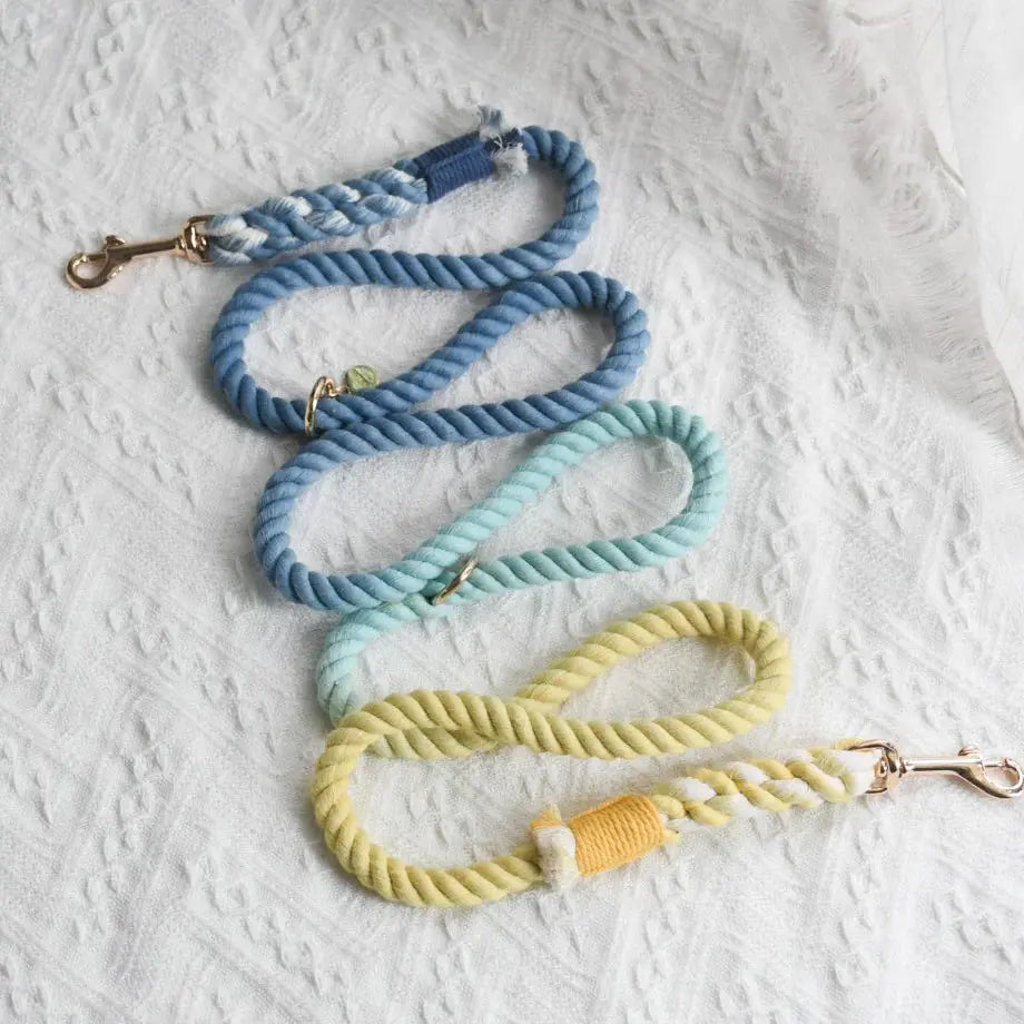 HANDS FREE DOG ROPE LEASH - DAWN Pawsome Pets New York® Official Site