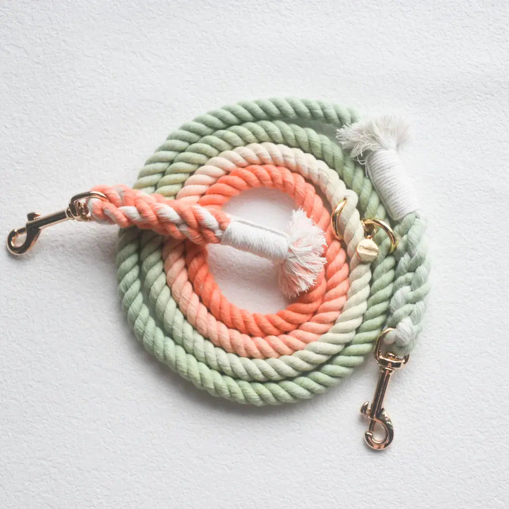HANDS FREE DOG ROPE LEASH - BUBBLE SODA-0
