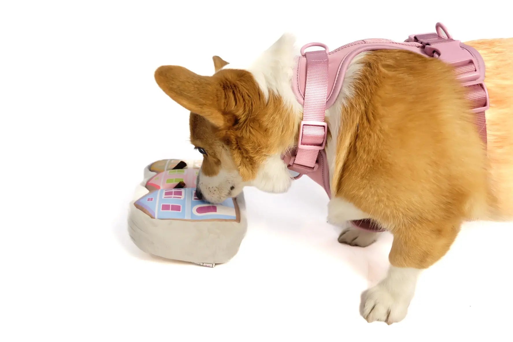 Painted Ladies Nose Work Dog Toy