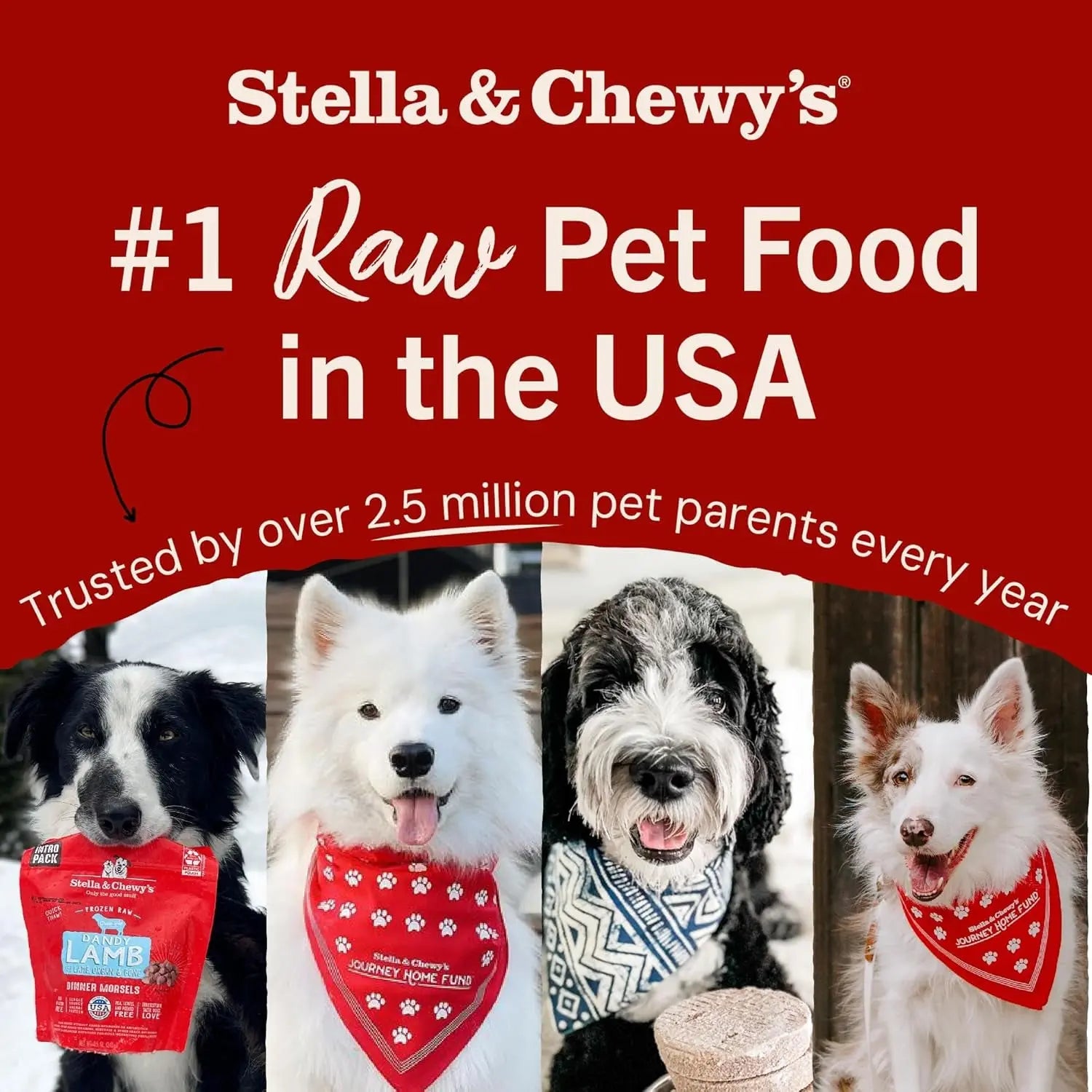 Freeze-Dried Raw Chicken Breast Dog Treats - Single Ingredient, No Additives - Premium Training Treats - Perfect for Picky Eaters - 2.75Oz Bag